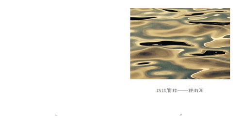 中央美术学院城市设计学院工艺美术与材料实施网络教学成果展 电脑动画设计篇